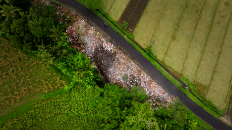 Motorcyclist-pass-smoldering-heap-of-garbage-between-Bali-farm-lands,-aerial