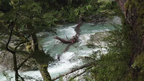 Wasser-Fließt-In-Einem-Blauen-Routeburn-River-In-Einem-Wald-Am-Routeburn-Track,-Neuseeland