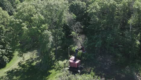 Drone-footage-of-lumberjack-machine-cutting-wild-trees-during-afternoon