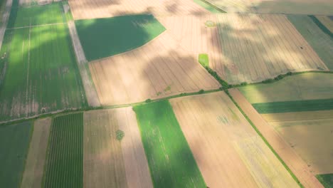 Agricultural-field-aerial-shot