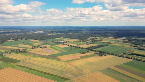 Agricultural-field-aerial-shot