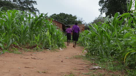 Niños-Con-Uniforme-Caminando-En-El-Paisaje-Rural-De-Uganda,-Vista-Posterior-De-Un-Camino-De-Tierra