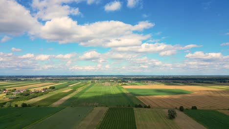 Ländliche-Luftlandschaft-Mit-Mehrfarbigen-Landwirtschaftlichen-Feldern-Europa-4k