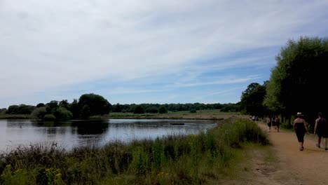 Richmond,-Londres:-Admirando-Las-Vistas-De-Richmond-Green-Y-Old-Deer-Park-Y-Sus-Lagos,-Disfrutando-De-Los-Paisajes-Serenos-Y-La-Atmósfera-Tranquila.