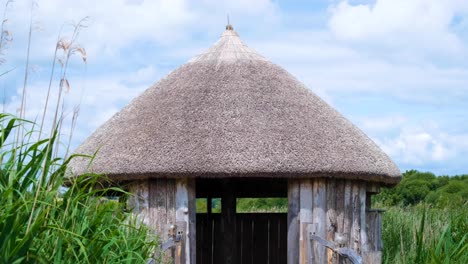 Close-up-of-wooden-bird-hide-lookout-hut-with-thatched-roof-amongst-reeds-at-Westhay-nature-reserve-on-the-Somerset-Levels-in-England-UK