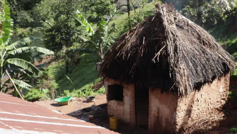 Rural-house-in-Uganda-with-palm-jungle-behind,-handheld