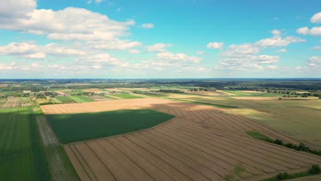 Aerial-view-with-the-landscape-geometry-texture-of-a-lot-of-agriculture-fields-with-different-plants-like-rapeseed-in-blooming-season-and-green-wheat
