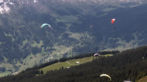 Abstiegsschuss-Von-Gleitschirmfliegern-über-Dem-Grünen-Grindelwaldtal