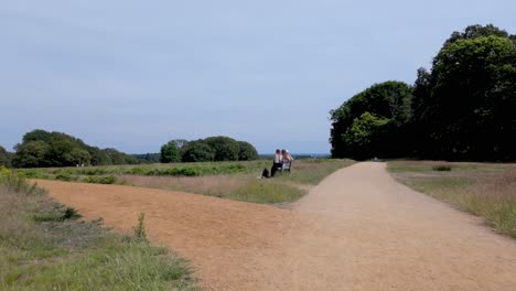 Richmond,-London:-Eine-Gruppe-Von-Mädchen-Entspannt-Sich-In-Richmond-Green-Und-Im-Old-Deer-Park-Und-Genießt-Die-üppige-Grüne-Umgebung,-Die-Ruhige-Atmosphäre-Und-Das-Angenehme-Wetter