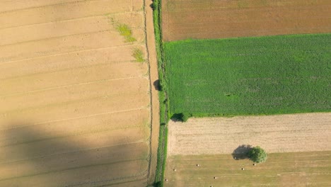 Luftaufnahme-Eines-Landwirtschaftlichen-Feldes