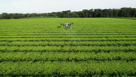 Luftbild,-Das-Die-Seitliche-Flugbahn-Einer-Landwirtschaftlichen-Drohne-Zeigt,-Die-Pestizide-über-Einer-Plantage-Ausbringt
