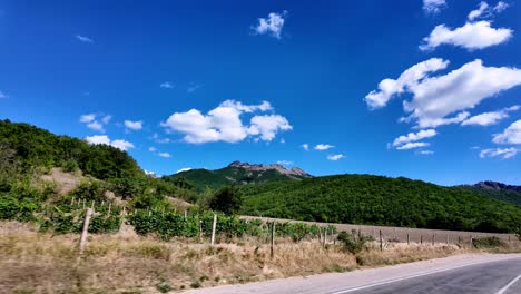 A-scenic-drive-through-Juniper-Grove,-New-World,-on-a-bright-summer-day