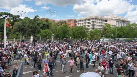 Panning-shot-shows-thousands-demonstrating-to-defend-public-healthcare-in-Spain