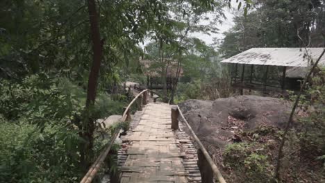 Bamboo-path-through-the-forest-in-Pai,-northern-Thailand