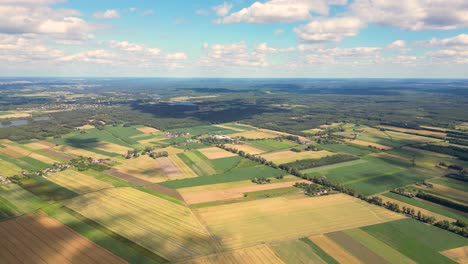 Luftaufnahme-Eines-Landwirtschaftlichen-Feldes