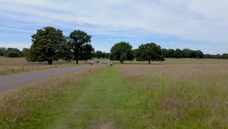 Richmond,-Londres:-Explorando-Richmond-Green-Y-Old-Deer-Park-En-Un-Día-De-Cielo-Azul,-Disfrutando-De-Los-Exuberantes-Paisajes,-El-Ambiente-Histórico-Y-Tranquilo.