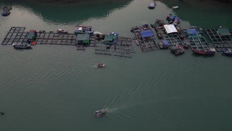 Toma-Aérea-De-Un-Pueblo-Pesquero-Flotante-Con-Barcos-En-Cat-Ba-Y-La-Bahía-De-Halong-En-El-Norte-De-Vietnam