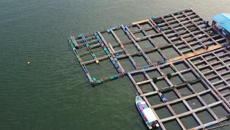 Traditional-aquaculture-floating-fish-farms,-breeding,-rearing,-cultivating-and-harvesting-of-fish-and-shellfish-in-water-environments,-aerial-view-drone-flyover-shot