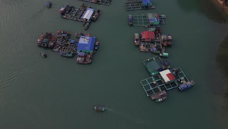 Toma-De-Drones-De-Coloridas-Piscifactorías-En-Un-Pueblo-Flotante-En-Cat-Ba-Y-La-Bahía-De-Halong-En-El-Norte-De-Vietnam