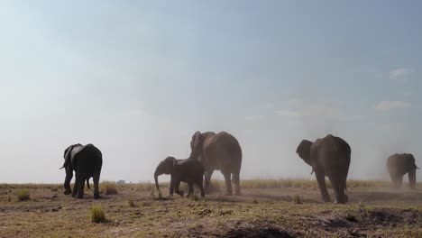 Safari-Skyline-Im-Chobe-Nationalpark-In-Kasane,-Botswana