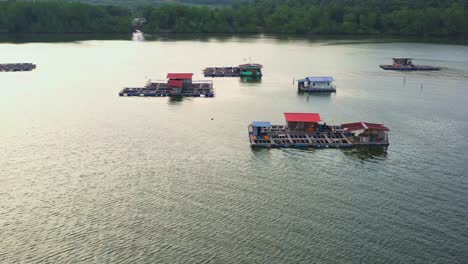 Floating-fish-farms,-traditional-aquaculture,-breeding,-rearing,-cultivating-and-harvesting-of-fish-and-shellfish-in-water-environments,-aerial-view-drone-flyover-shot