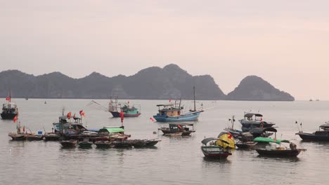 group-of-fishing-boats-docked-in-harbor-surrounded-by-mountains-in-Cat-Ba-and-Halong-Bay-in-Northern-Vietnam