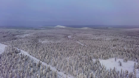 Aerial-view-over-snowy-woodlands,-toward-fells-of-Lapland,-gloomy-winter-morning