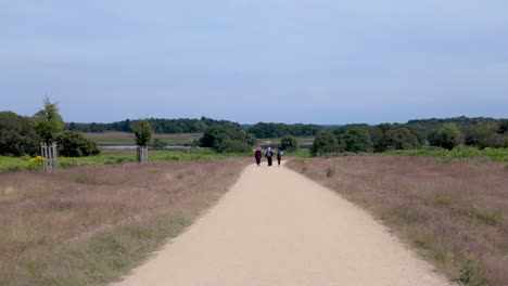 Richmond,-London:-Spaziergang-Durch-Richmond-Green-Und-Old-Deer-Park,-Genießen-Des-üppigen-Grüns,-Der-Ruhigen-Atmosphäre-Und-Der-Landschaftlichen-Schönheit