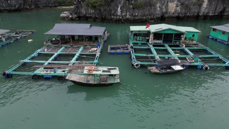 drone-shot-of-floating-fishing-villages-in-Cat-Ba-and-Halong-Bay-in-Northern-Vietnam