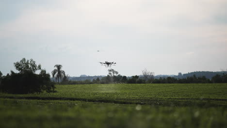 Langsame-Kamerafahrt-Eines-DJI-Agras-T30-Beim-Versprühen-Von-Pestiziden-Und-Düngemitteln-über-Nutzpflanzen