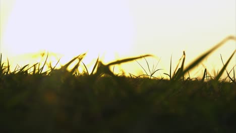 Establishing-shot-of-people-walking-on-path-in-park-for-exercise-as-sun-is-setting