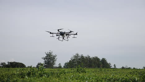 Slow-motion-shot-of-a-DJI-Agras-T30-flying-over-a-field-of-crops