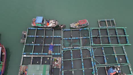 Toma-De-Drones-De-Granjas-Pesqueras-En-Un-Pueblo-Flotante-En-Cat-Ba-Y-La-Bahía-De-Halong-En-El-Norte-De-Vietnam