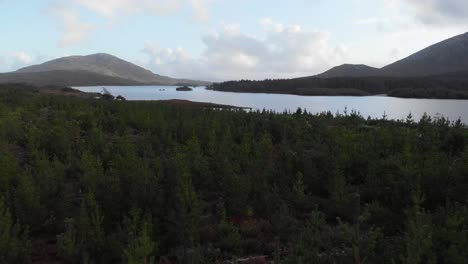 Aéreo:-Volando-Sobre-Bosques-De-Coníferas-Rodeados-De-Lagos-Y-Montañas,-Irlanda