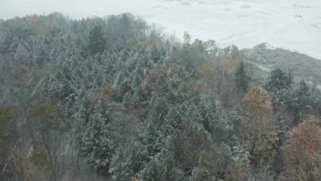 Aerial-flying-through-a-strong-snow-storm-over-a-pine-tree-forest