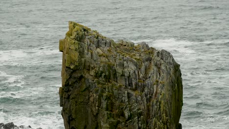 Blick-Auf-Zerklüftete-Klippen,-Die-Mit-Gelben-Hebridenflechten-Bedeckt-Sind,-Vor-Den-Klippen-Der-Schottischen-Küste,-Von-Denen-Vögel-über-Die-Klippen-Fliegen