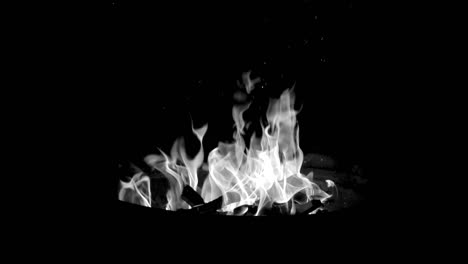 Artistic-Slow-Motion-Fire-Burning---Black-and-White-180fps-Bonfire