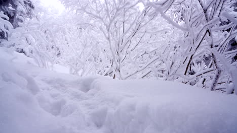 Dolly-Pan-Rodada-En-El-Maravilloso-Invierno-De-La-Montaña-Del-Este-De-Canadá