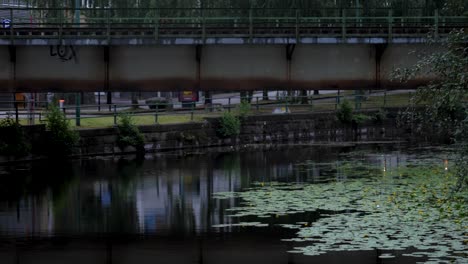 Handaufnahme-Des-Viskan-Bachs-In-Borås-Mit-Seerosen-Und-Gelben-Blumen-An-Einem-Grauen,-Bewölkten-Tag