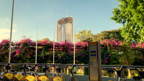 Pink-Bougainvilleas-with-City-Cycle-Bikes,-people-and-Building-in-background,-low-angle-shot,-South-Bank,-Brisbane,-Australia