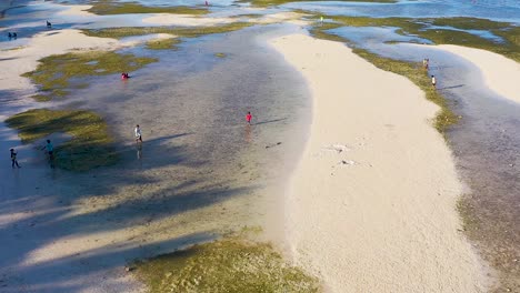 Aerial-flight-above-crystal-clear,-turquoise---green-coastal-reef-waters-in-Bohol,-Philippines