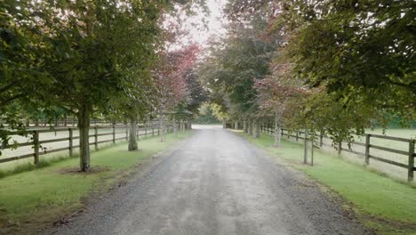 Caminando-Por-Un-Camino-De-Entrada-O-Camino-Hacia-Una-Granja-Irlandesa