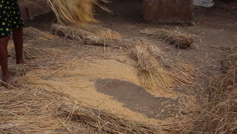 Man-working-in-a-farm-in-India