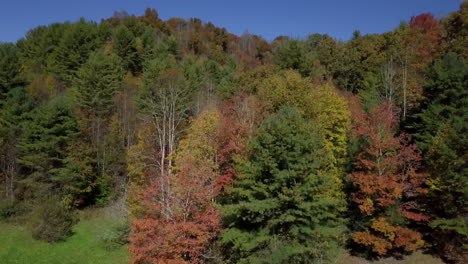 Aerial,-man-outside-hunting-cabin,-pedestal-up-to-reveal-vast-wilderness-area