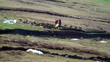 Zwei-Frauen-Stapeln-Torf-Zum-Trocknen-Auf-Einer-Shetland-Hochebene