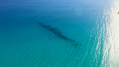 Aerial-view-of-a-paddle-boarder-in-the-open-sea