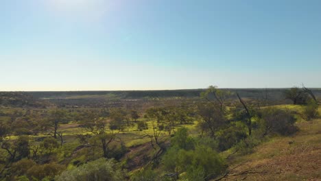 Aerial-drone-shot-towards-valley-of-native-trees-and-wildflowers,-Western-Australia