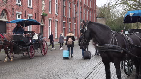 Tourist-Riding-A-Horse-Drawn-Carriage-In-Bruges,-Province-of-West-Flanders-in-the-Flemish-Region-of-Belgium,-With-People-Walking-With-Luggages-On-The-Pavement---Medium-Shot