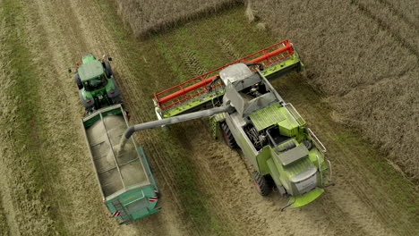 Full-harvesting-combine-offloading-gathered-grain--wheat-to-tractor-with-grain-trailer-attached-in-middle-of-field