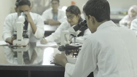 Estudiantes-Mirando-El-Microscopio,-Investigando-Algo